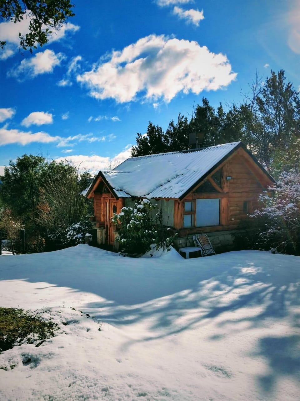 Winter, Garden