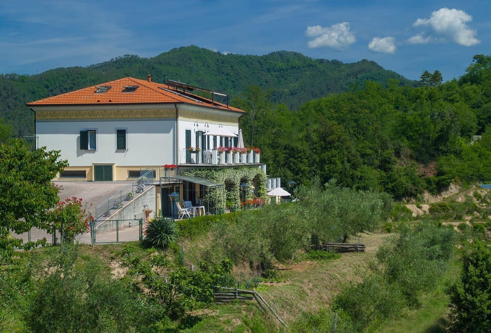 Facade/entrance, Bird's eye view, Garden view, Mountain view