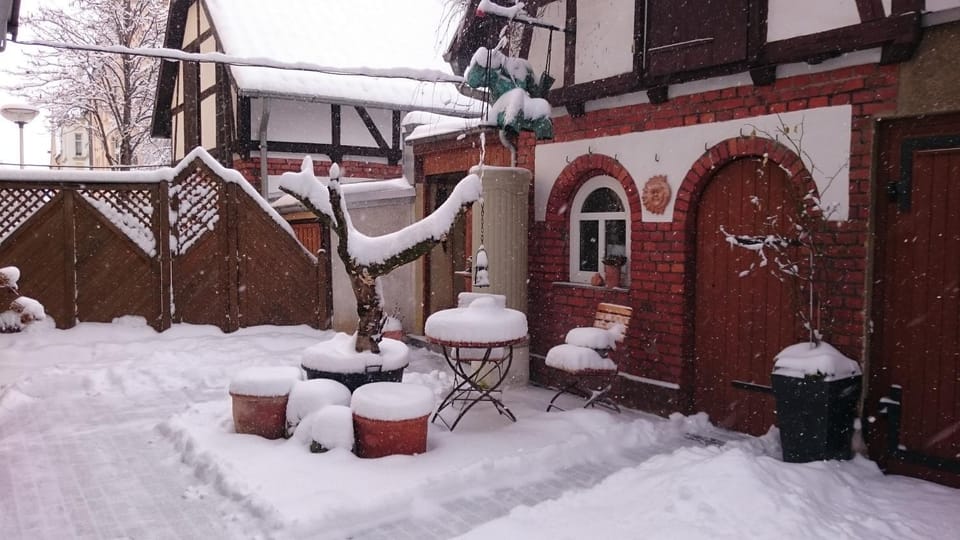 Patio, Patio, Day, Winter, Other
