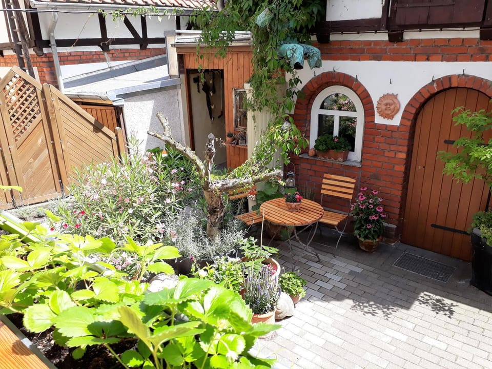 Patio, Summer, BBQ facilities, Other