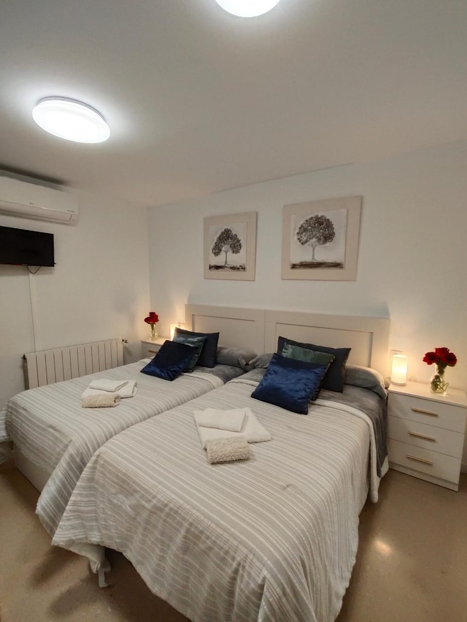 Photo of the whole room