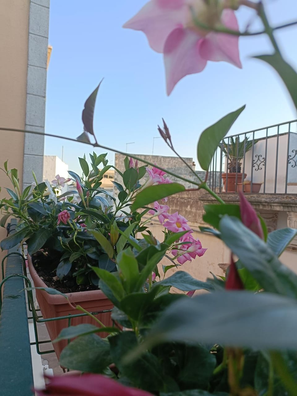 Il Vicoletto Bed and Breakfast in Province of Taranto