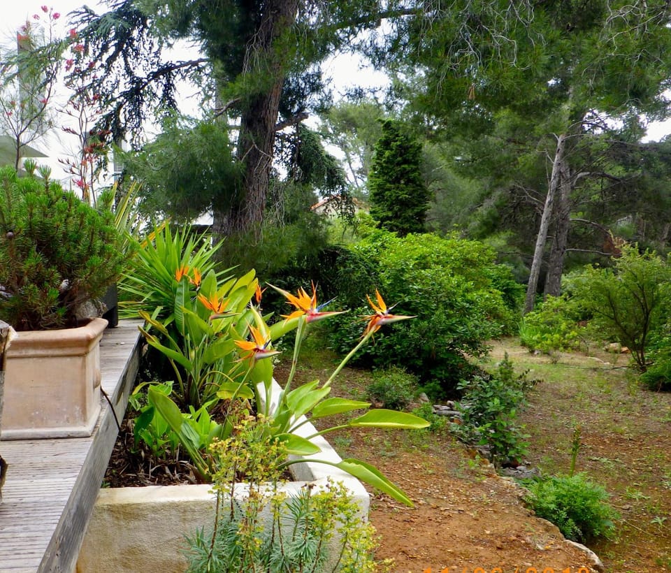 Villa Lucienne Bandol, Maison d'architecte, 5 étoiles, calanques Villa in French Riviera