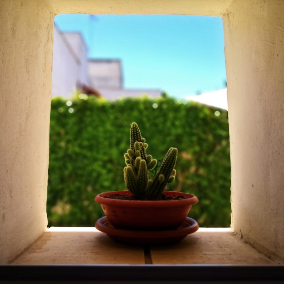 Inner courtyard view