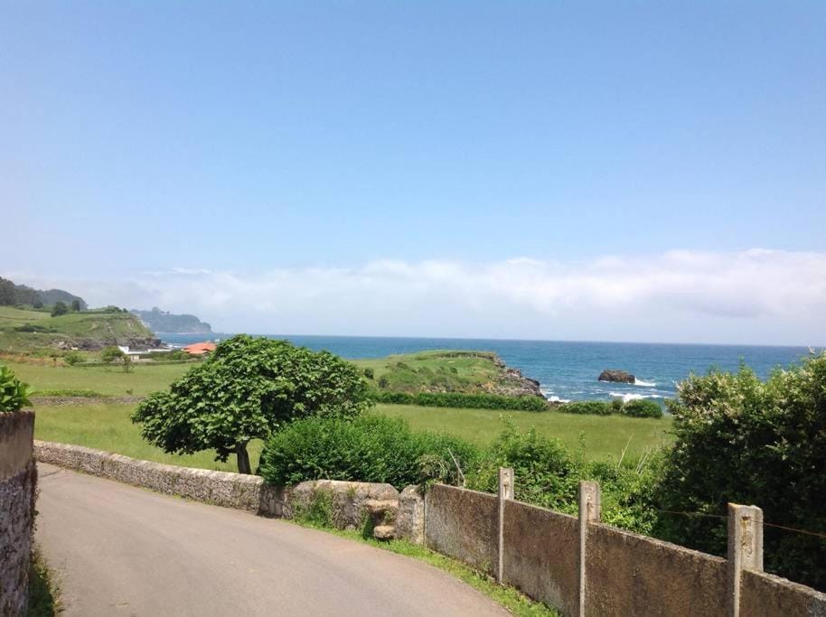 Natural landscape