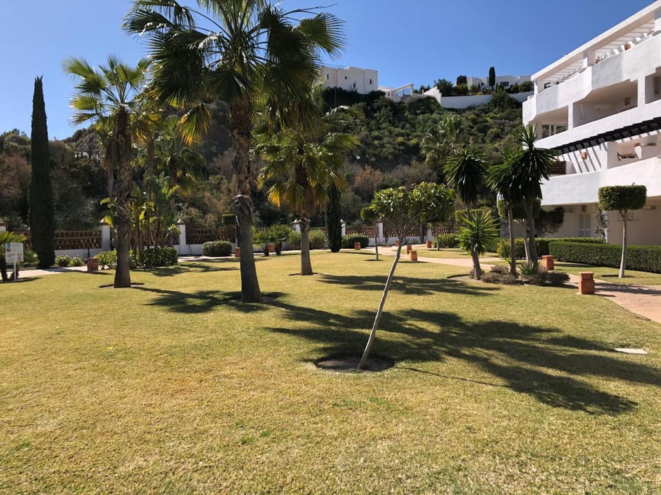 Spring, Day, Garden, Garden view