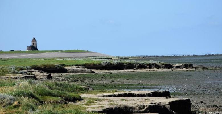 Natural landscape