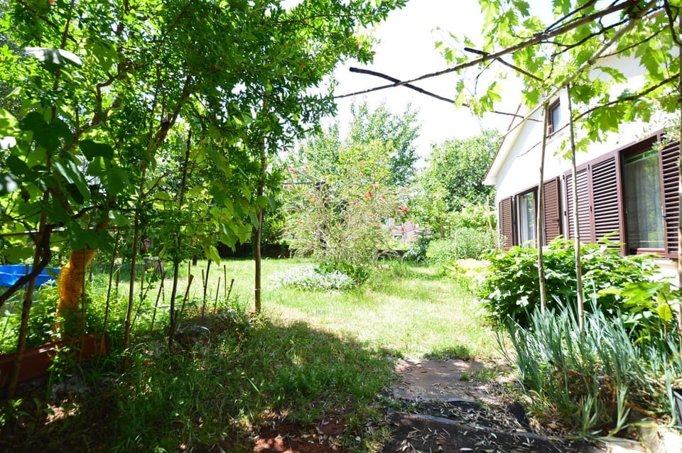 Property building, Garden