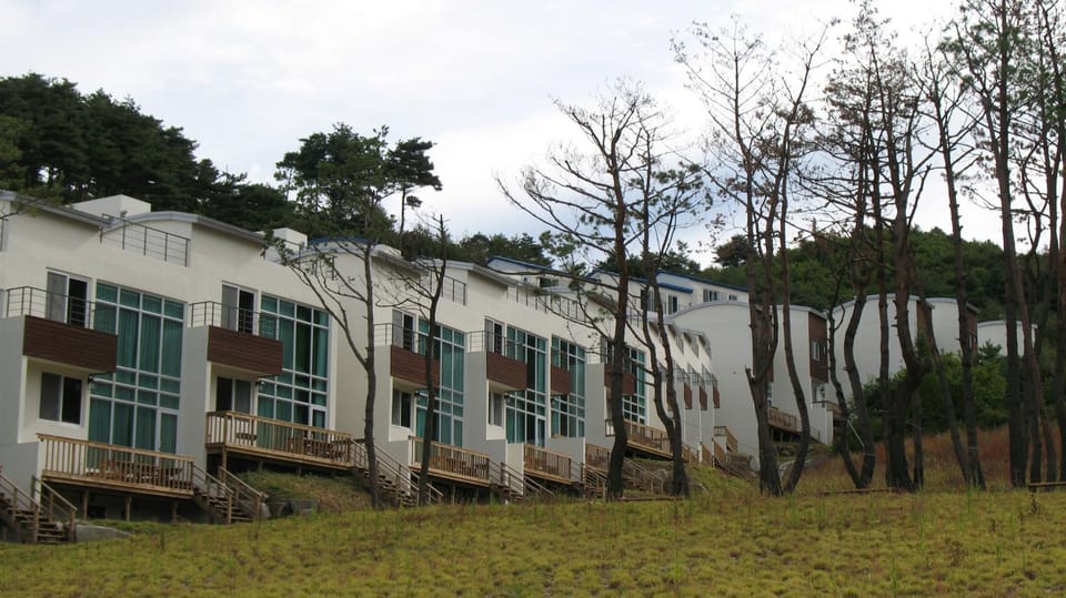 Property building, Natural landscape, Garden