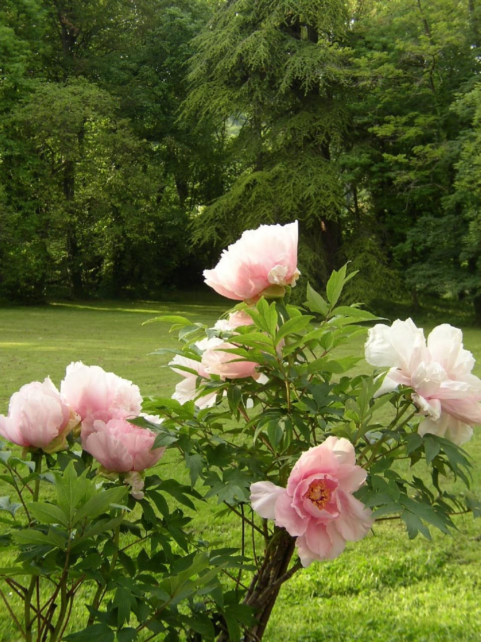 Le Domaine De Pomone Bed and Breakfast in Grand Est