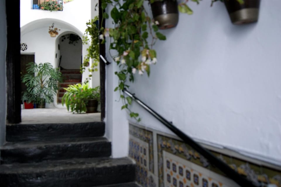 Casa El Patio Country House in Vejer de la Frontera