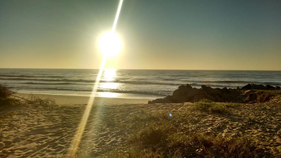 Beach, On site
