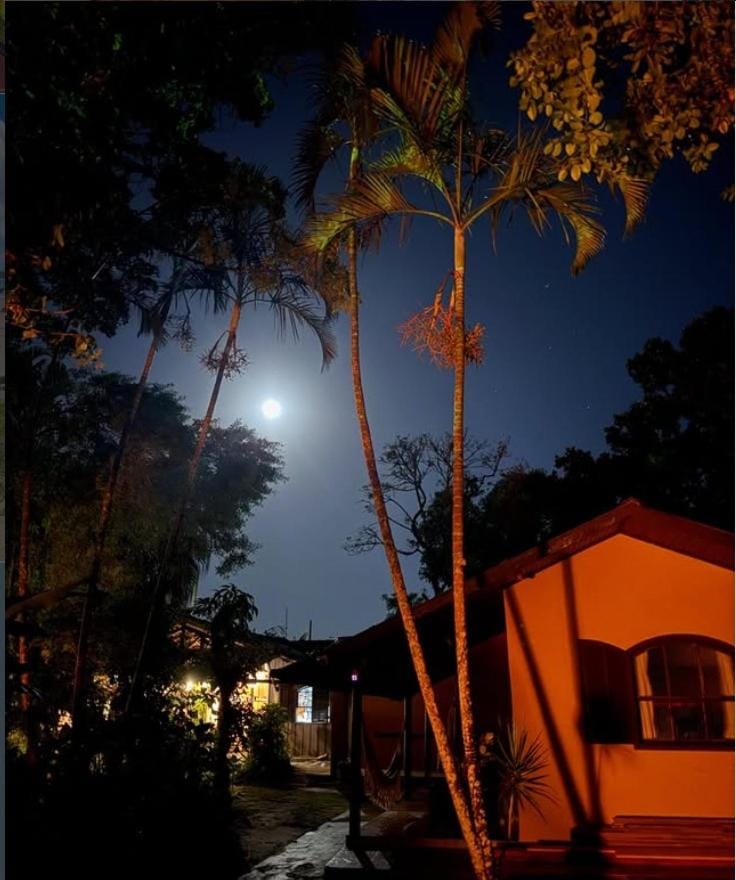 Patio, Night, Garden view