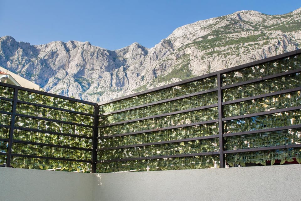 Patio, Activities, Mountain view