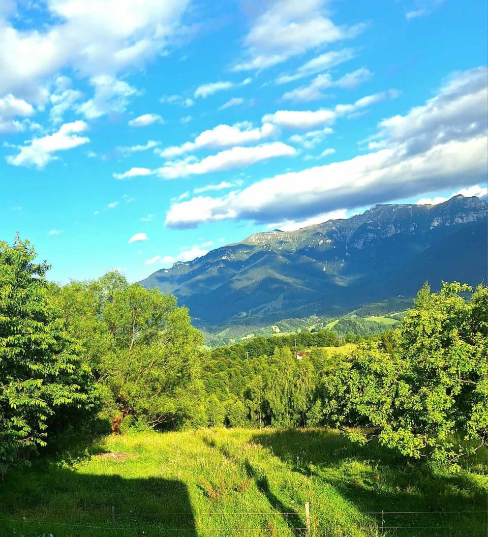 Mountain view