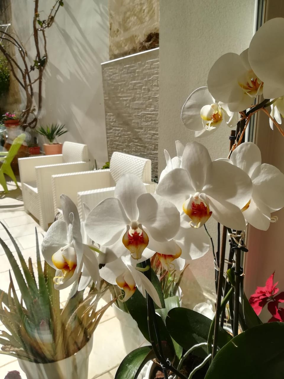 Meraki B&B Bed and Breakfast in Lecce