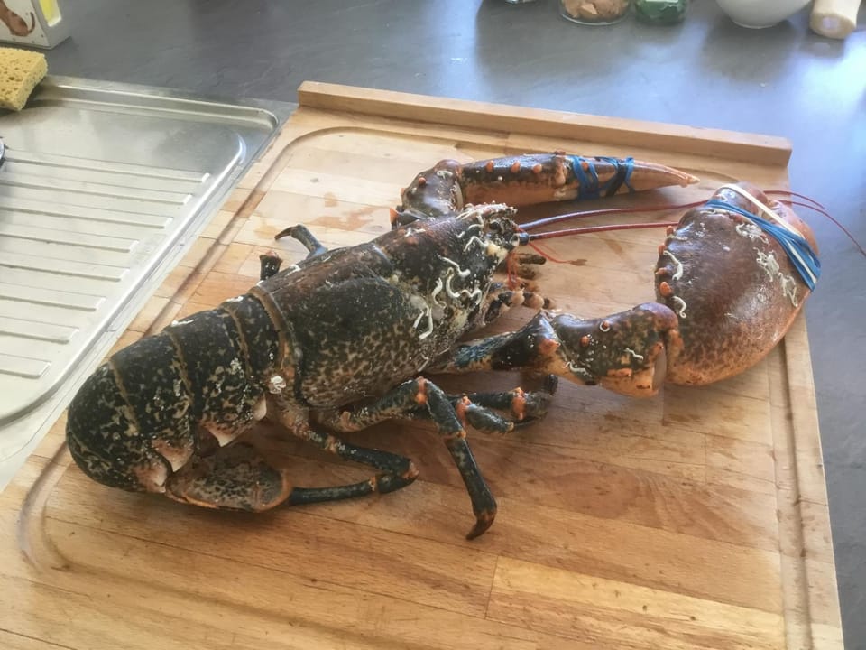 Soizic' house Apartment in Brittany