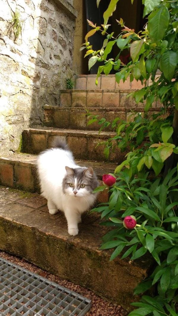 Chambres d'Hotes à La Chandelle Bed and Breakfast in Bourgogne-Franche-Comté