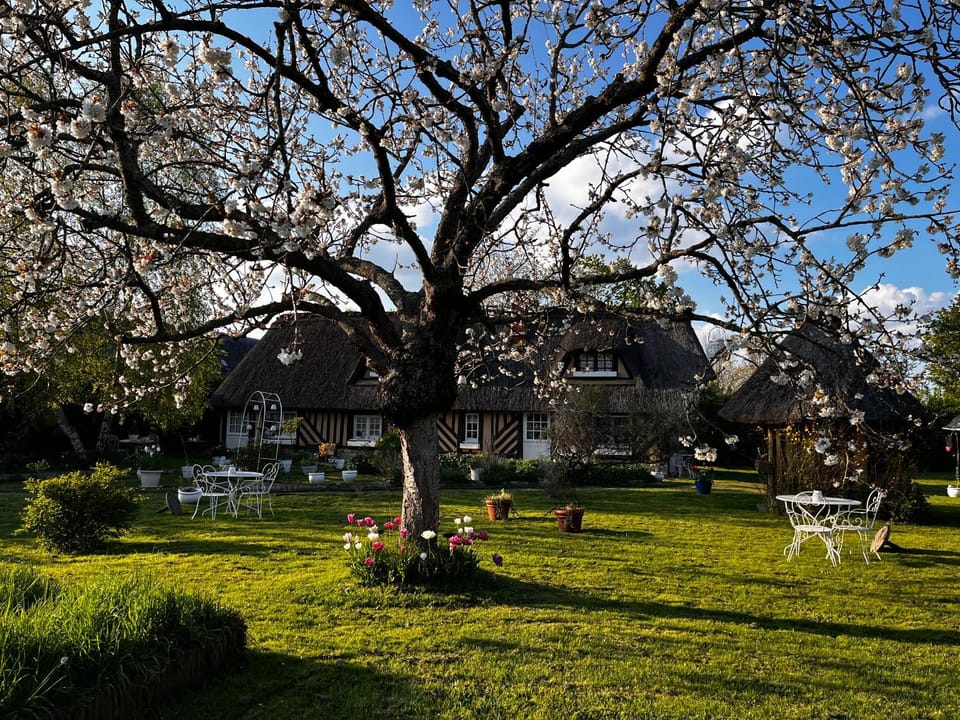 Property building, Garden, Garden, Breakfast