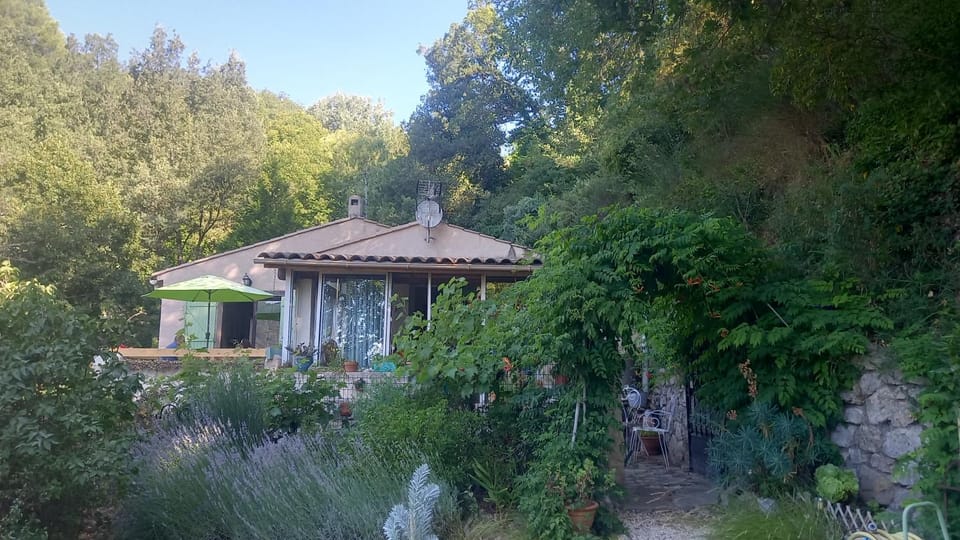 Spring, Garden, Garden view