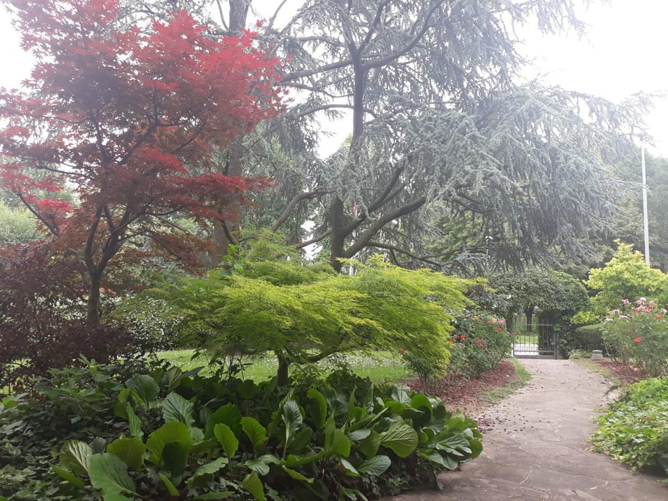 Garden, View (from property/room), Garden view