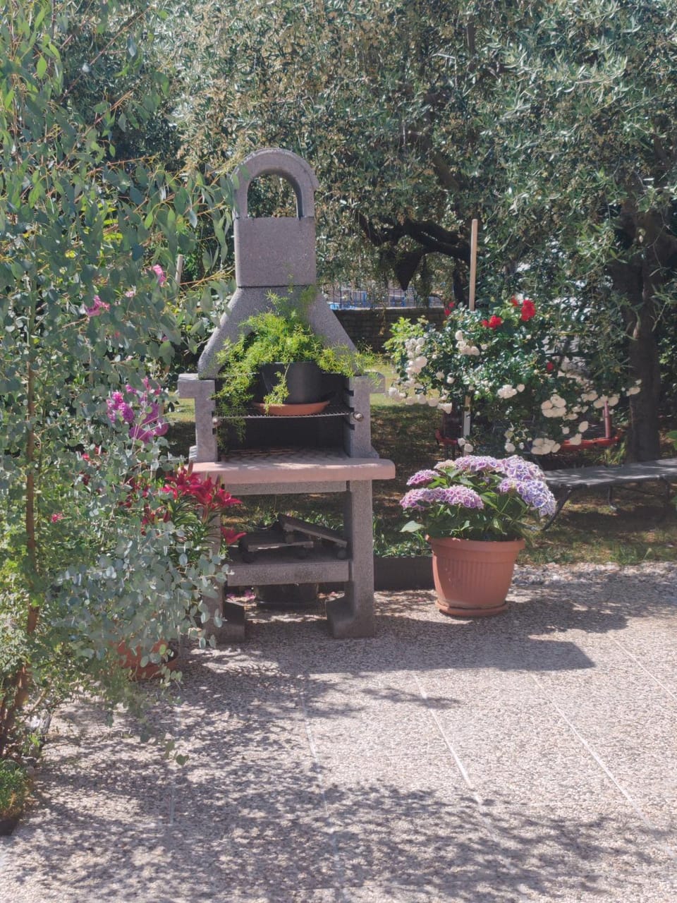 Apartment Dorina Apartment in Istria County