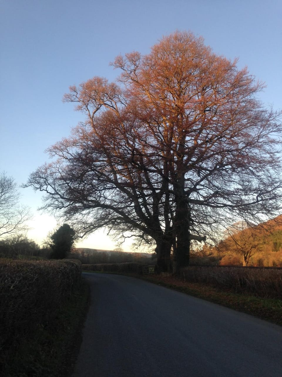 Natural landscape, Sunset