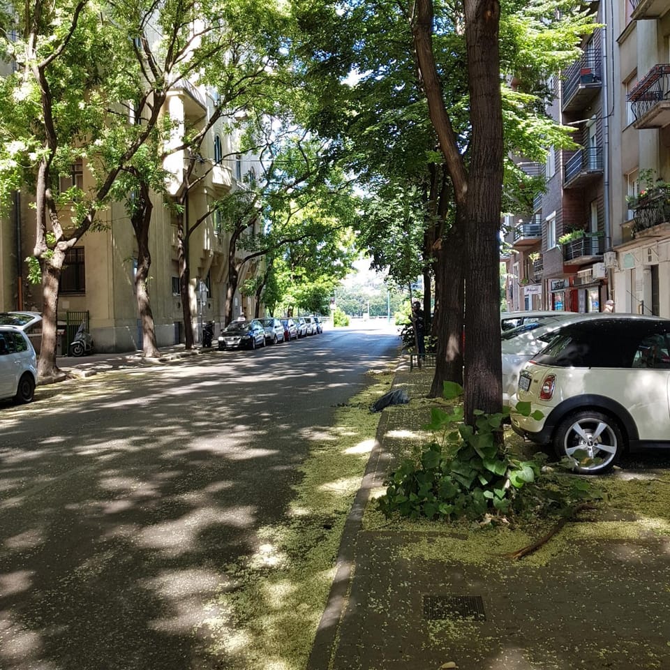 Neighbourhood, Parking