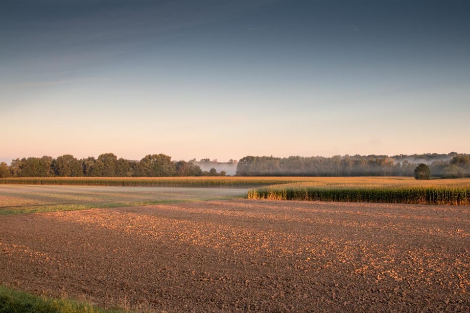 Natural landscape