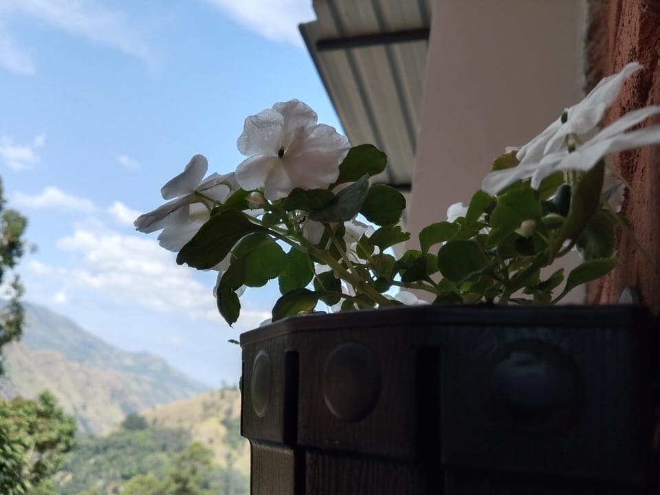 Apurvi Homestay Vacation rental in Uva Province, Sri Lanka