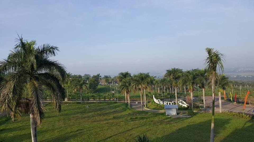 Natural landscape