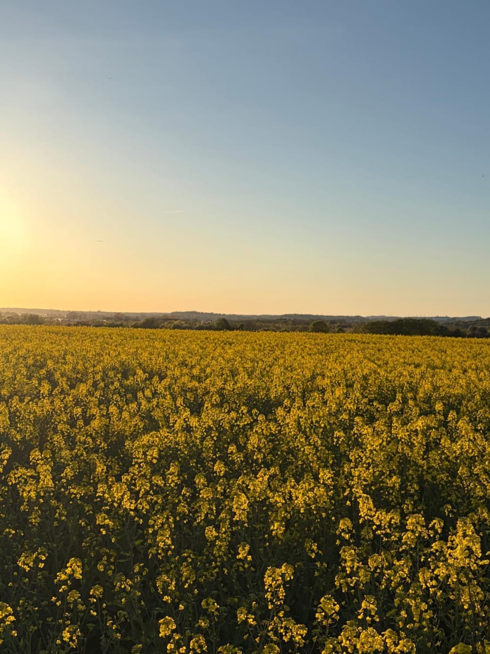 Spring, Natural landscape