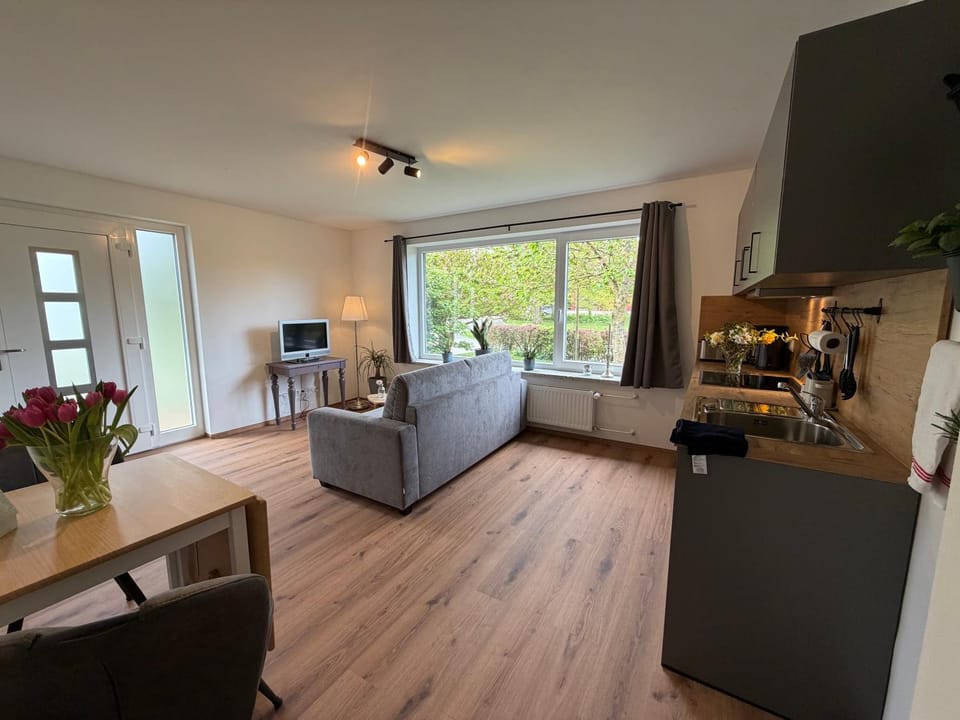 TV and multimedia, Kitchen or kitchenette, Living room, Seating area, Dining area