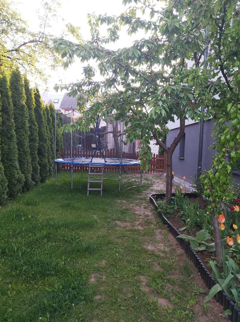 Garden, Entertainment