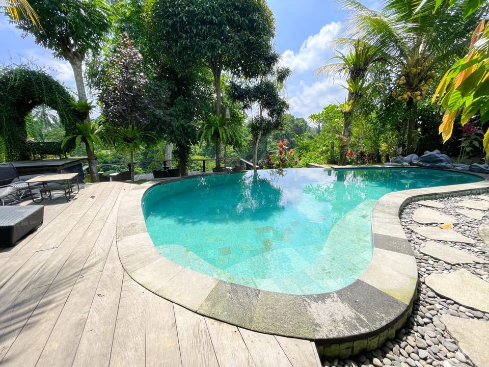 Pool view, Swimming pool