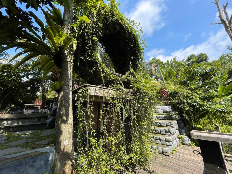 Garden, Garden, Garden view