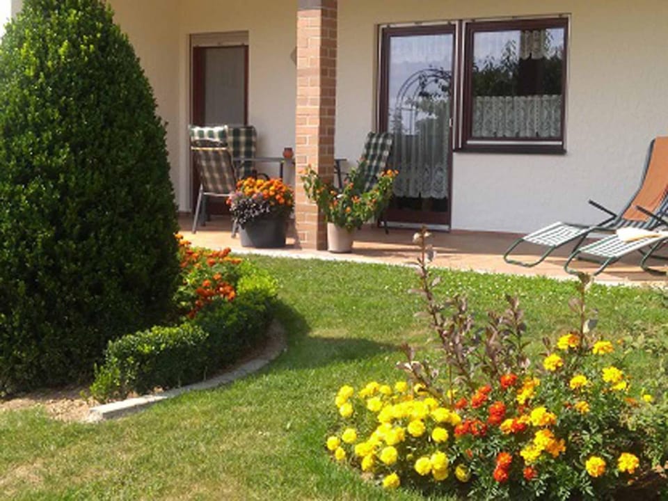 Property building, Garden