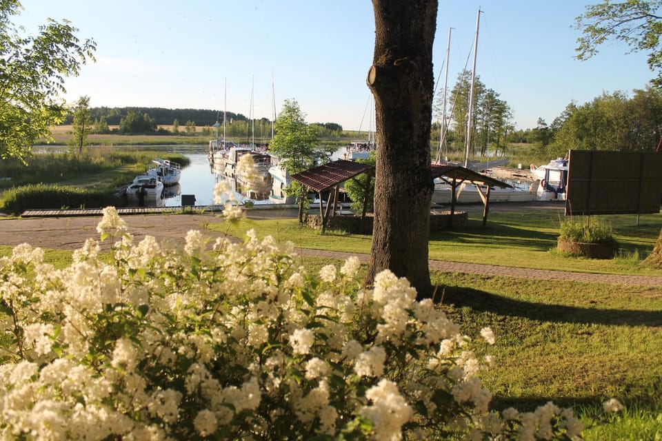 Lake view