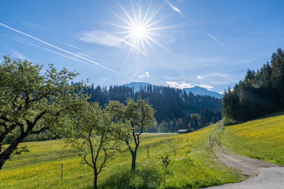 View (from property/room)