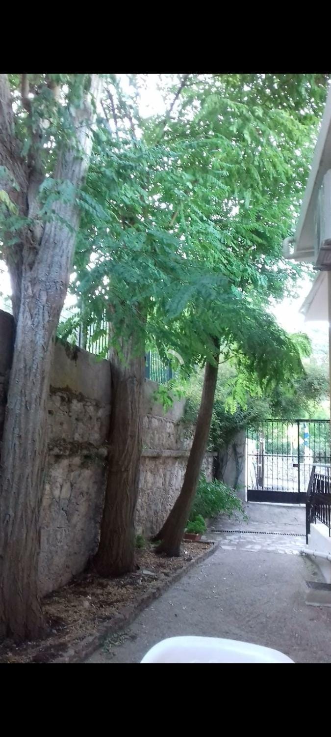 Karya House Apartment in Lefkada, Lefkada Municipality, Greece