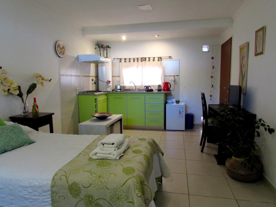 Departamento en Mendoza monoambiente Domaine Laborde I Apartment in Mendoza Province Province