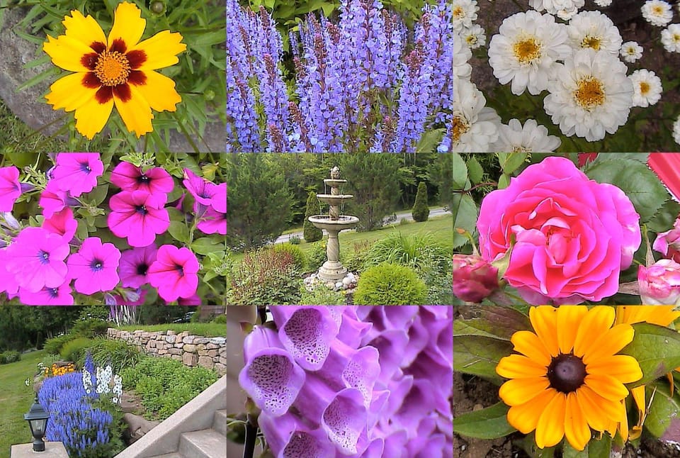 Oceanhillside B&B Bed and Breakfast in New Brunswick