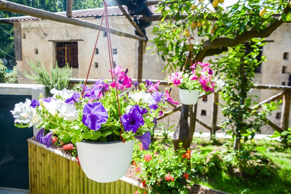 Holiday House Ruocco House in Campania