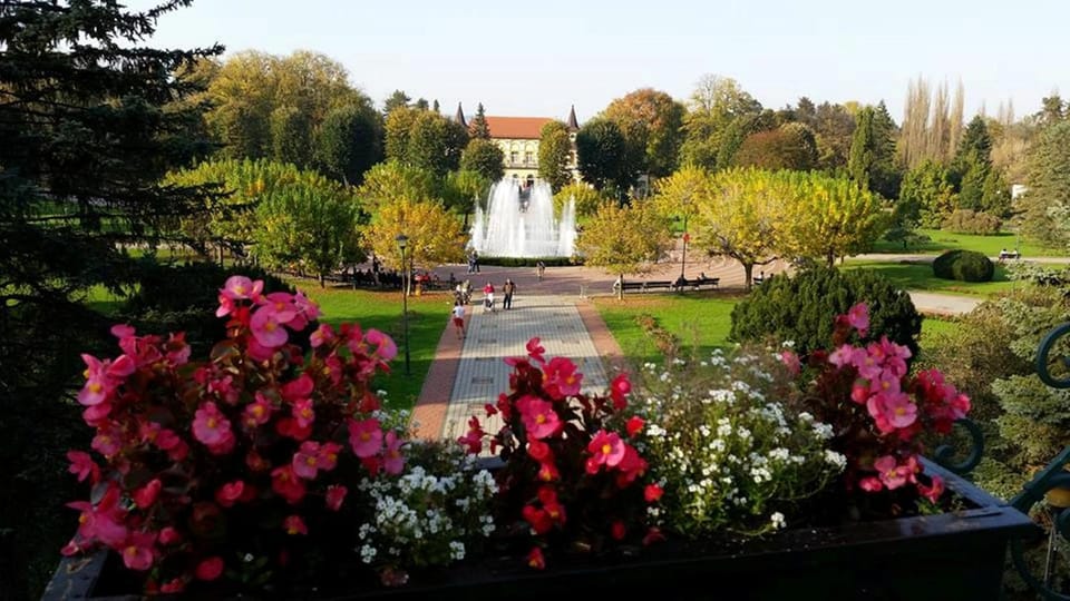 Nearby landmark, Neighbourhood, Natural landscape