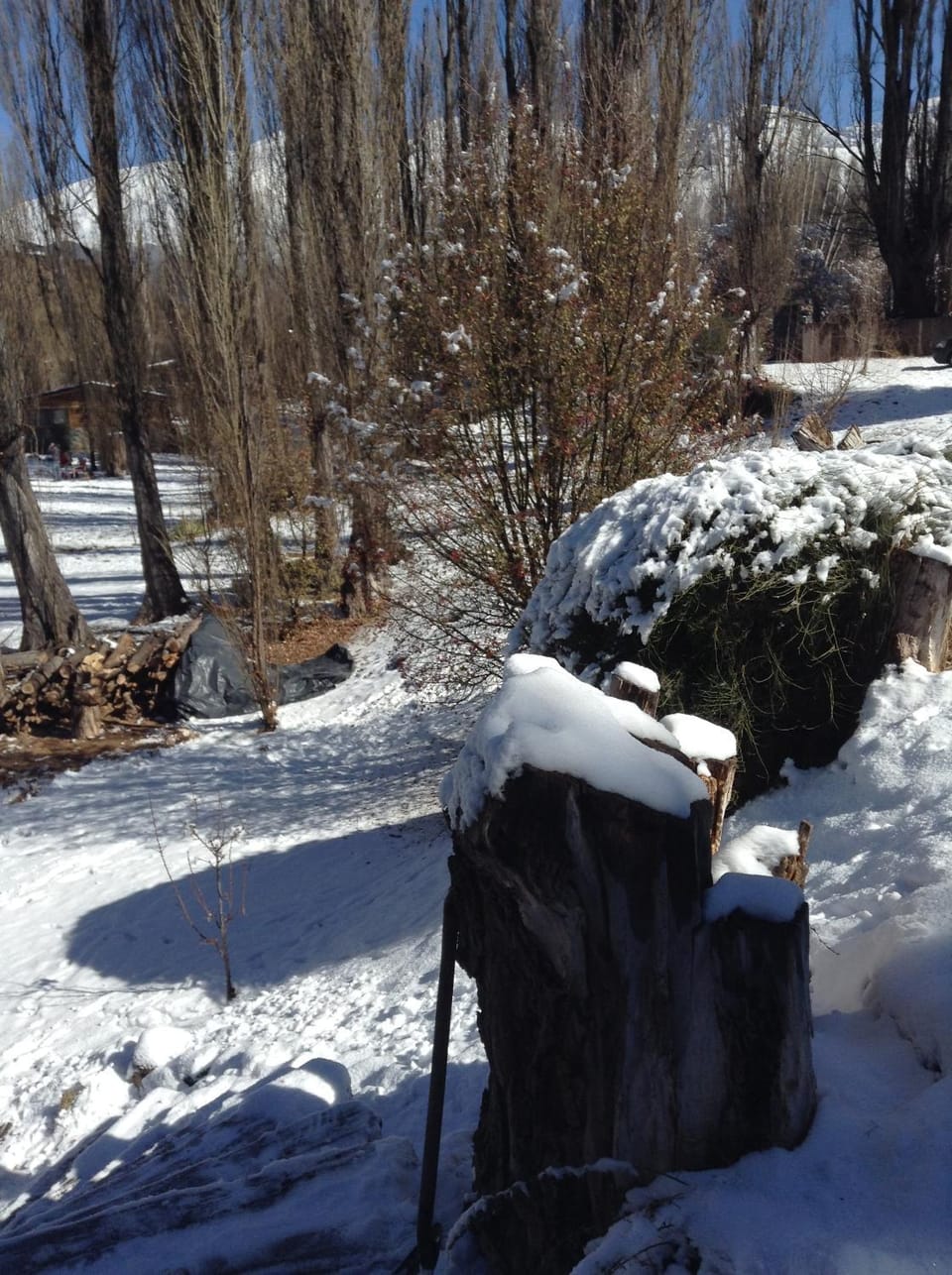 Mil Piedras Cabins Cabin in Mendoza Province Province