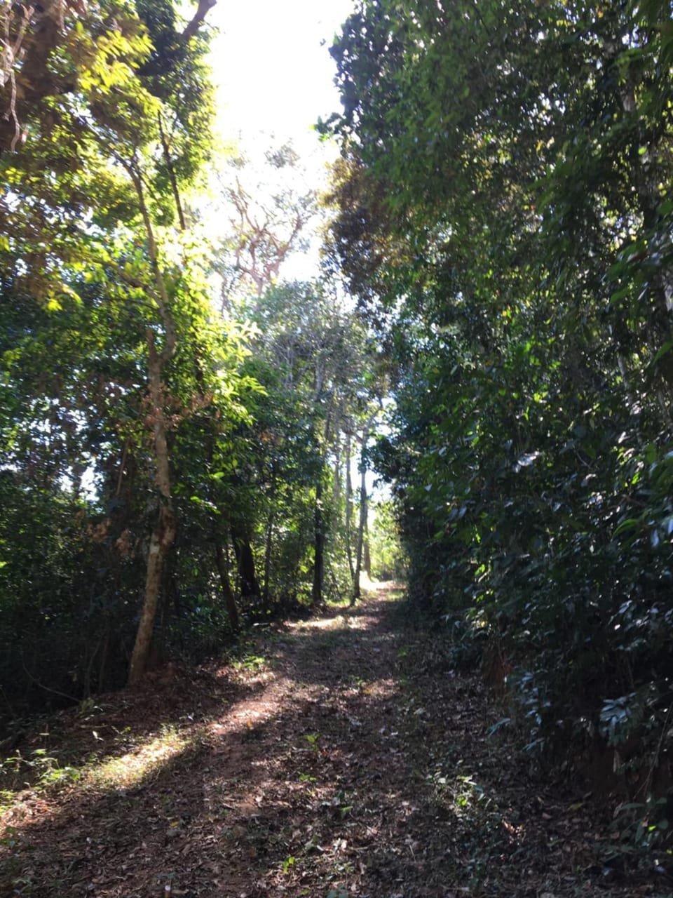 Natural landscape