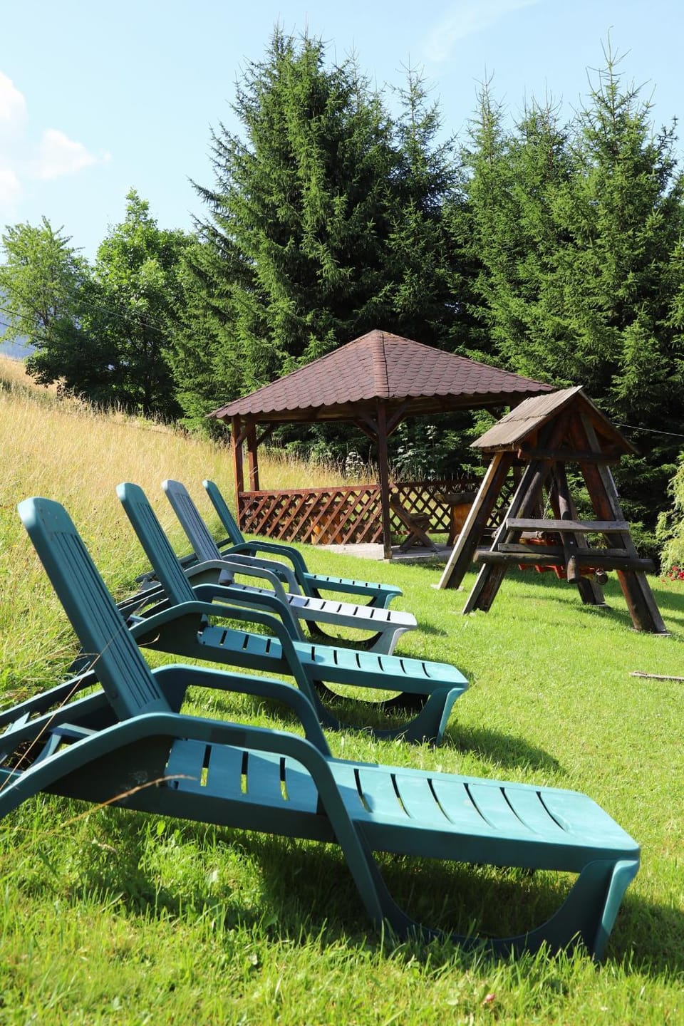 Pensiunea Dealul Frumos Bed and Breakfast in Bran