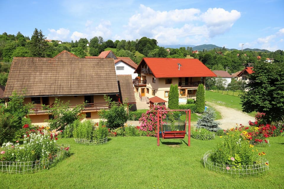 Pensiunea Dealul Frumos Bed and Breakfast in Bran