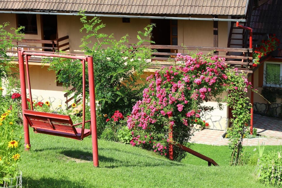 Pensiunea Dealul Frumos Bed and Breakfast in Bran