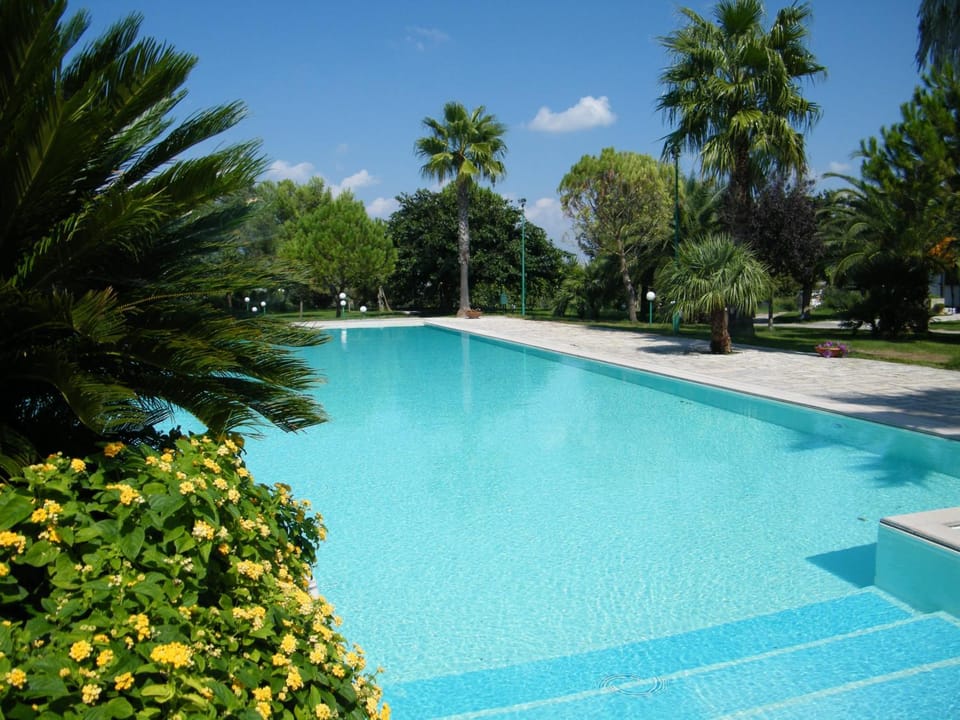 Activities, Pool view, Swimming pool